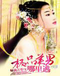 快穿：坠神之地(NPH)