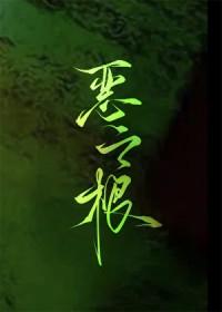 恶之根源电视剧