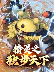 精灵宝可梦x神y神