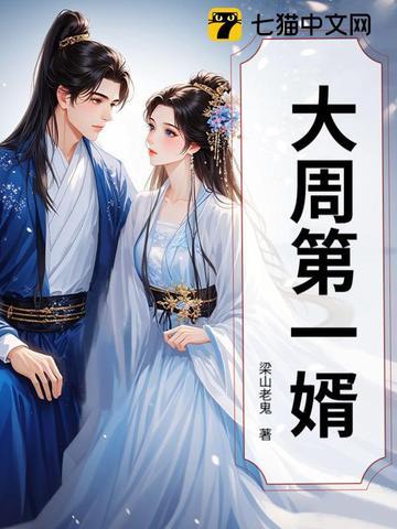 大周第一婿电视剧免费播放