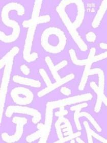 stop停止发癫by知我番外免费阅读