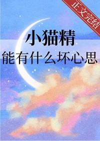 小猫精能有什么坏心思呢by猫界第一噜免费阅读