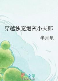 穿越之独宠小夫郎